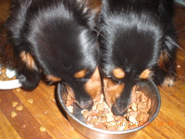 �������ӂ�X�C�}�[