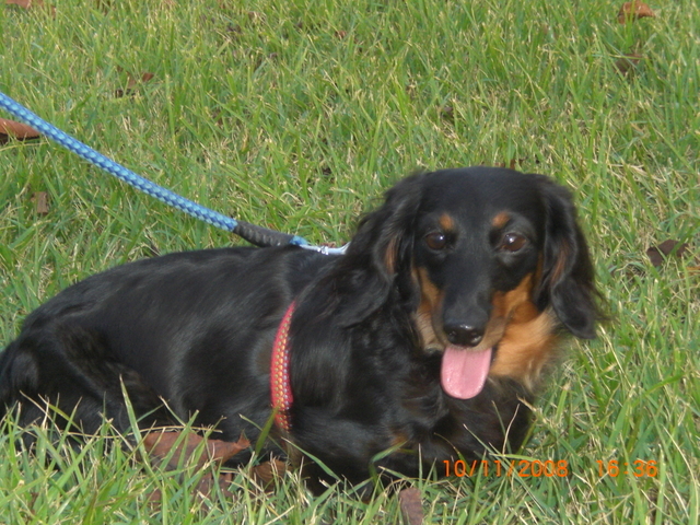 �������ӂ�X�C�}�[