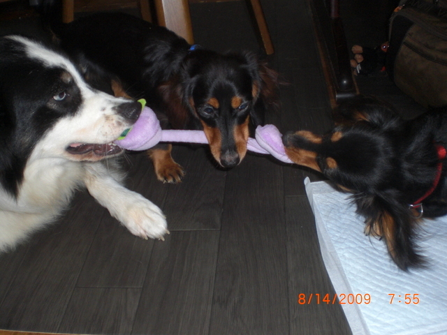 �������ӂ�X�C�}�[