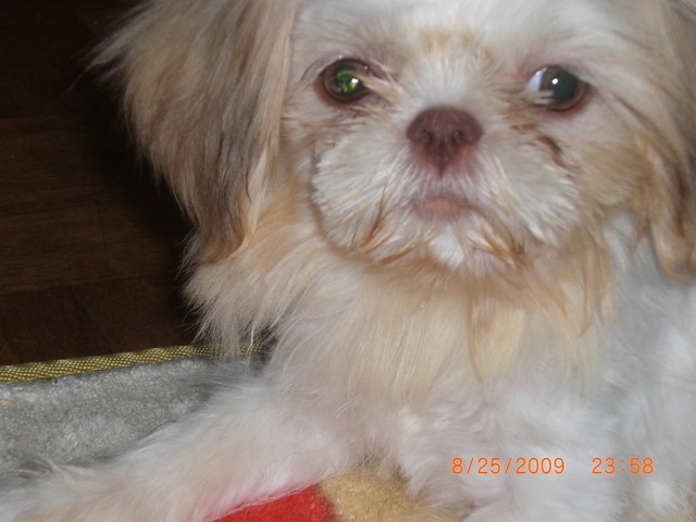 �������ӂ�X�C�}�[