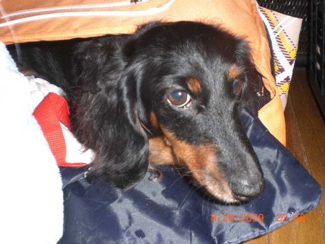 �������ӂ�X�C�}�[