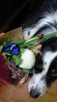 �������ӂ�X�C�}�[