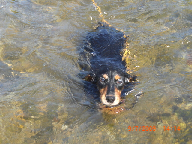 �������ӂ�X�C�}�[