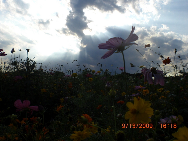 �������ӂ�X�C�}�[