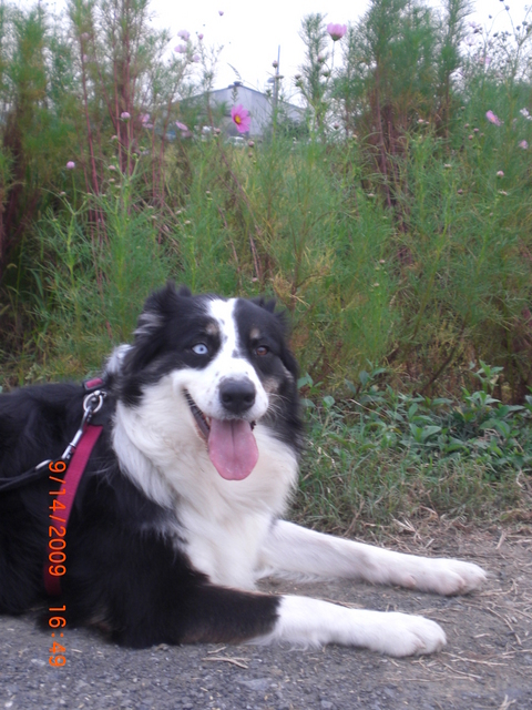 �������ӂ�X�C�}�[