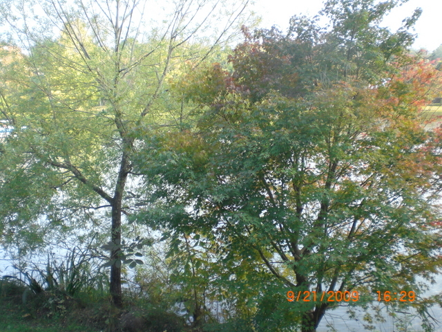 �������ӂ�X�C�}�[