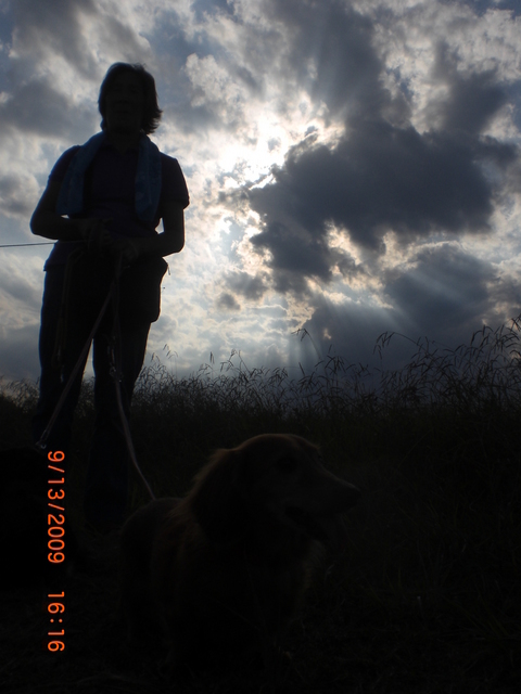 �������ӂ�X�C�}�[