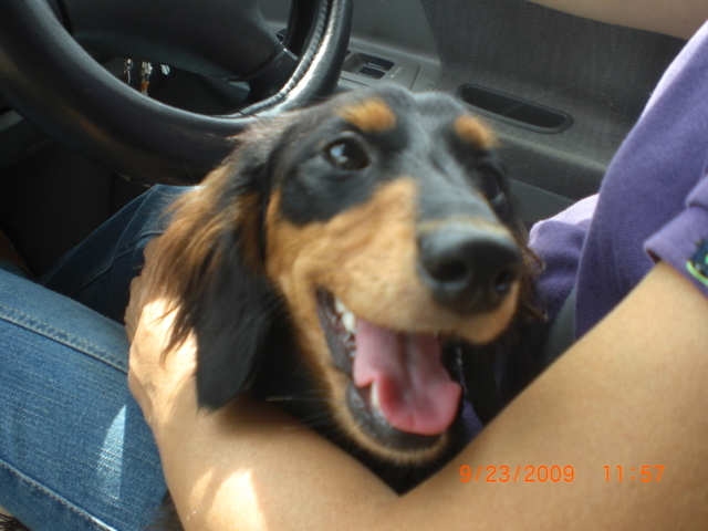 �������ӂ�X�C�}�[