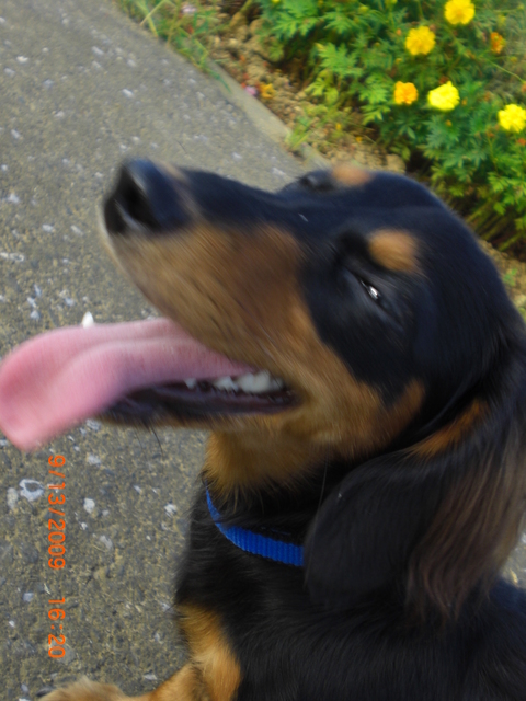 �������ӂ�X�C�}�[