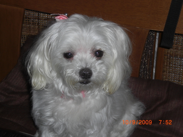 �������ӂ�X�C�}�[