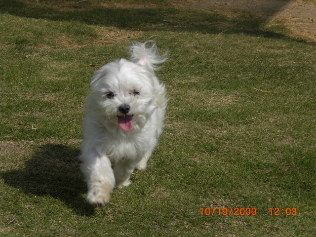 �������ӂ�X�C�}�[