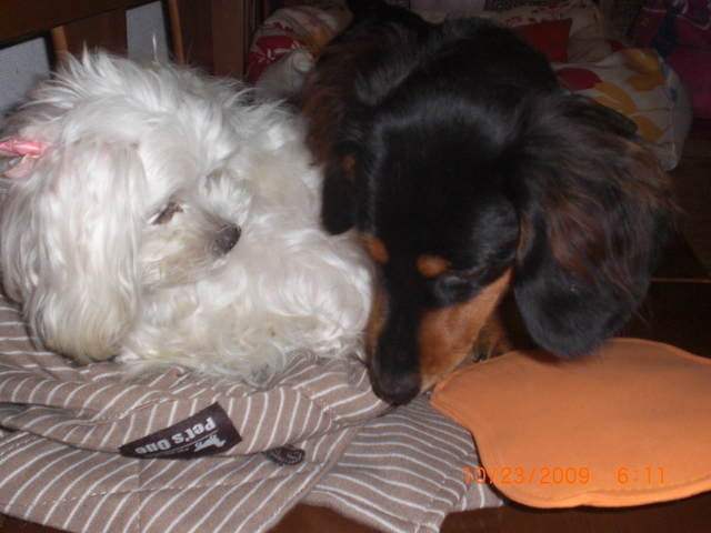 �������ӂ�X�C�}�[