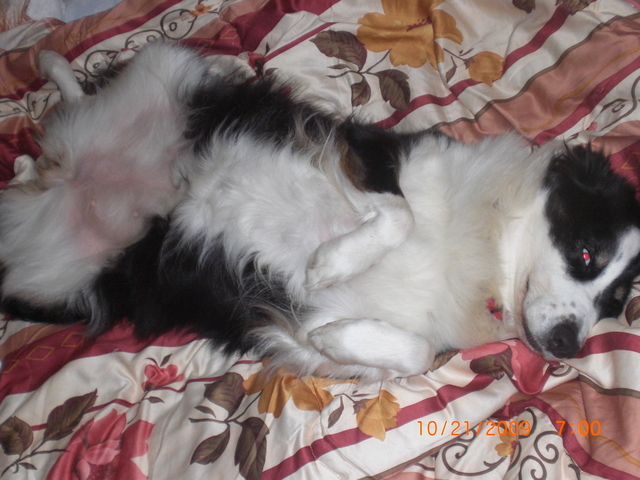 �������ӂ�X�C�}�[