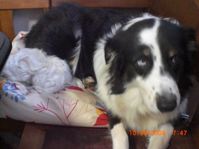 �������ӂ�X�C�}�[