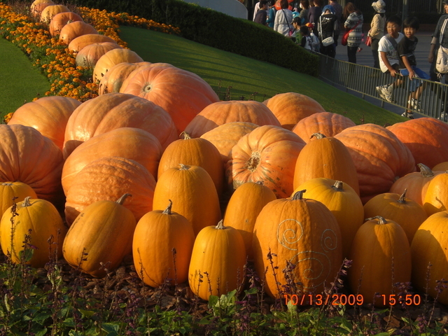 �������ӂ�X�C�}�[