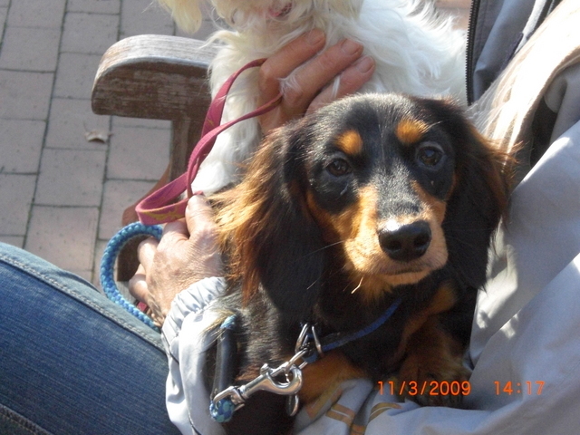 �������ӂ�X�C�}�[