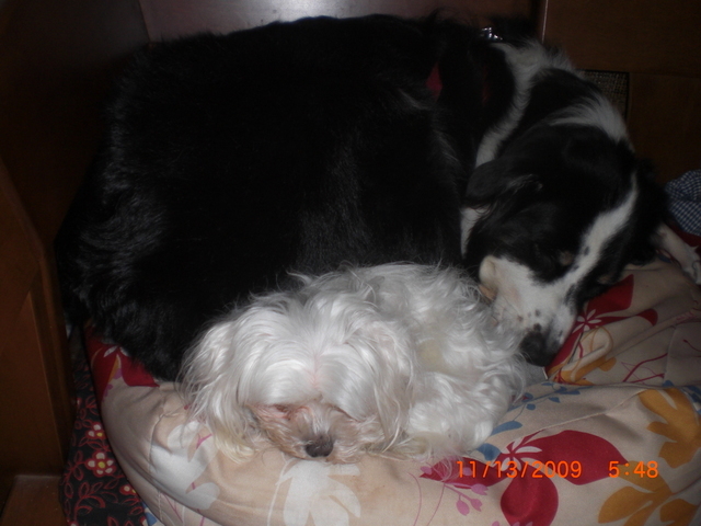 �������ӂ�X�C�}�[