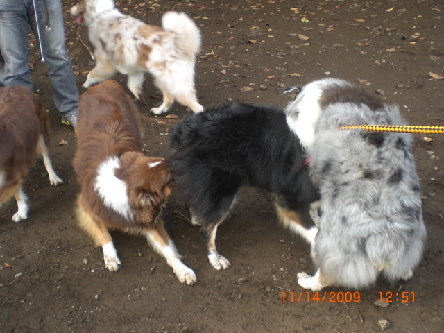 �������ӂ�X�C�}�[