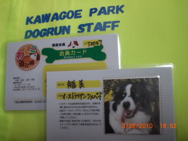 �������ӂ�X�C�}�[