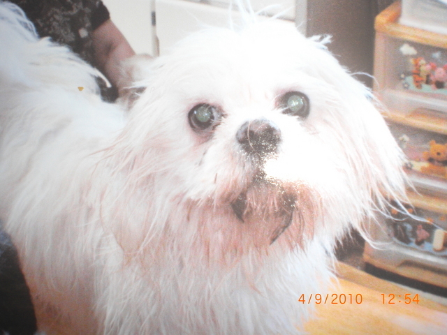 �������ӂ�X�C�}�[