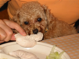 �䂪�Ƃ́@�����@���V�̃v���t�B�[��