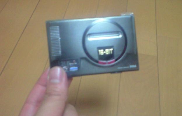 �ڐA�Q�[���ӂ����̕�炵