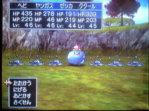 ڐAQ[ӂ̕炵