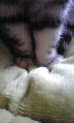 LƕsvcƂَqɂ킽镗