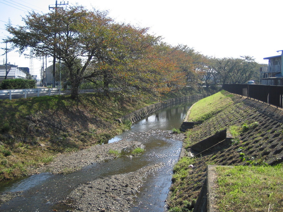 �L�ƕs�v�c�Ƃ��َq�ɂ킽�镗