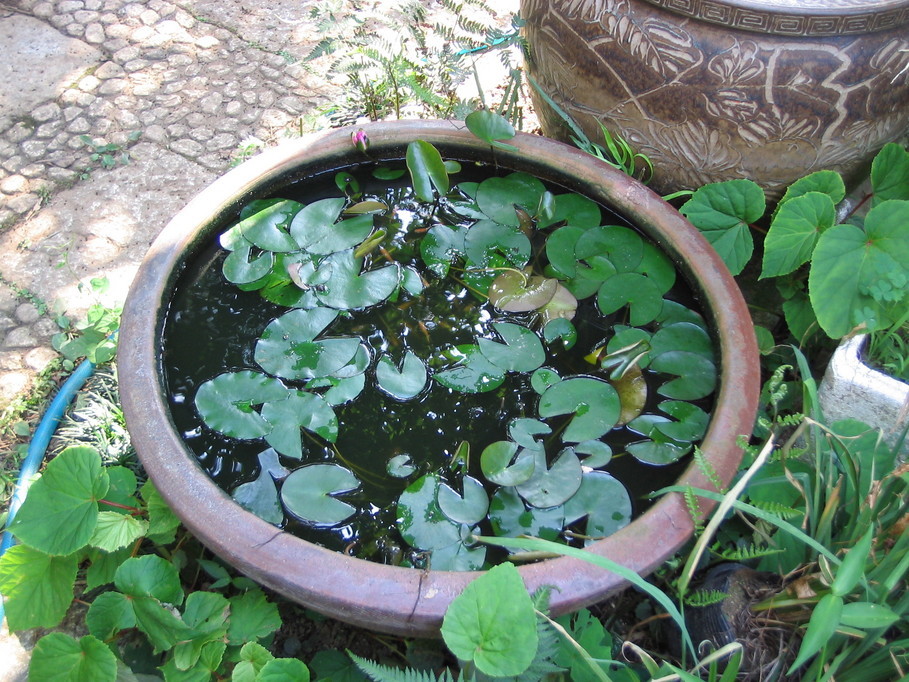 �L�ƕs�v�c�Ƃ��َq�ɂ킽�镗