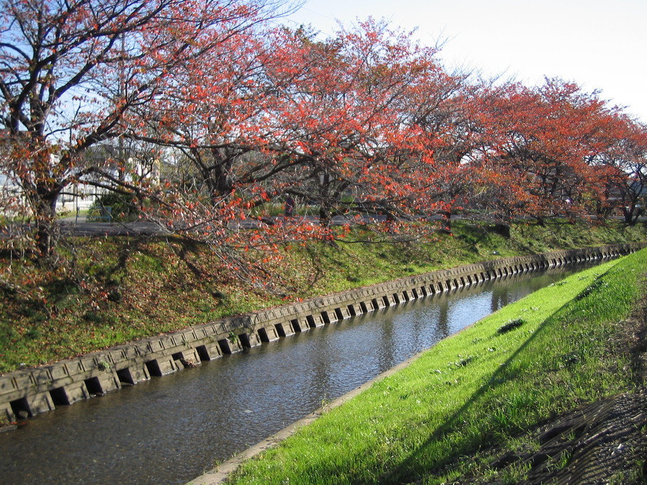 �L�ƕs�v�c�Ƃ��َq�ɂ킽�镗