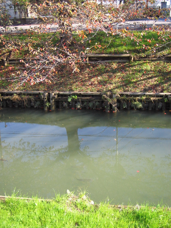 �L�ƕs�v�c�Ƃ��َq�ɂ킽�镗