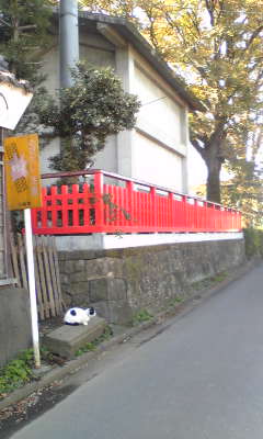 �L�ƕs�v�c�Ƃ��َq�ɂ킽�镗