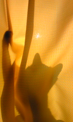 LƕsvcƂَqɂ킽镗