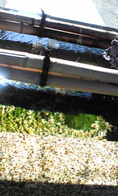 �L�ƕs�v�c�Ƃ��َq�ɂ킽�镗