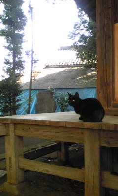 �L�ƕs�v�c�Ƃ��َq�ɂ킽�镗