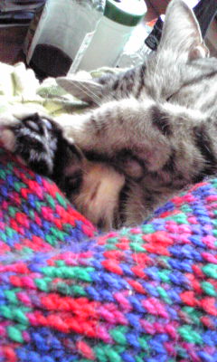 �L�ƕs�v�c�Ƃ��َq�ɂ킽�镗