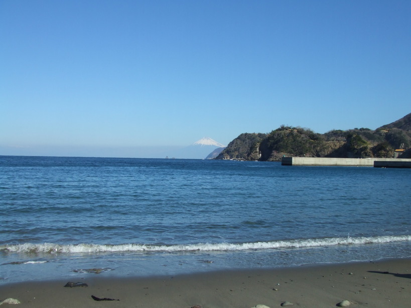 �䂪�Ƃ̏o����