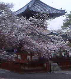 �C�X�~���~��