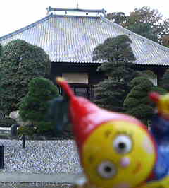 �C�X�~���~��