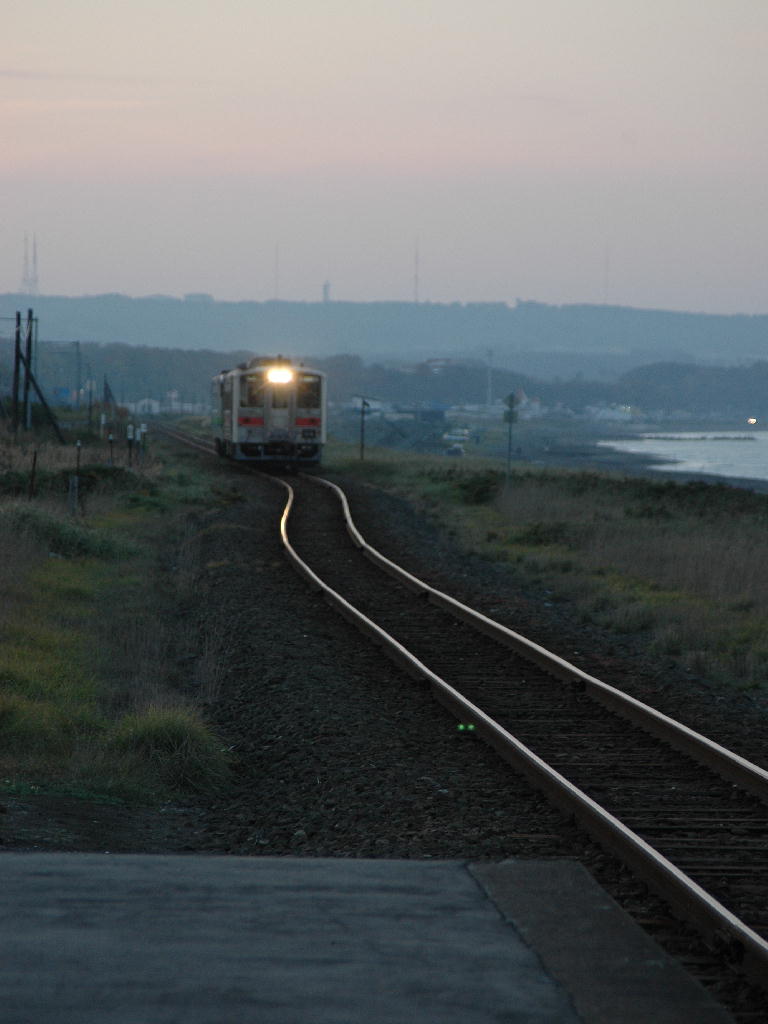 �t�H�g�N���u �u�ԎʉԎʁv