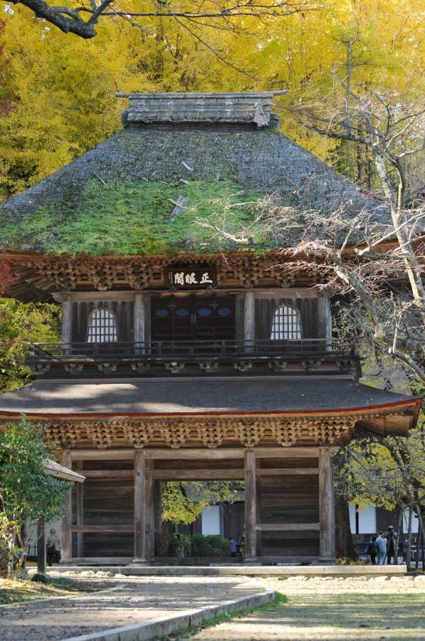 �t�H�g�N���u �u�ԎʉԎʁv