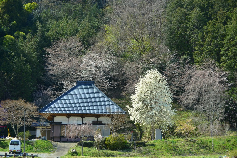 �t�H�g�N���u �u�ԎʉԎʁv