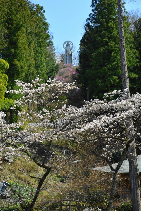 �t�H�g�N���u �u�ԎʉԎʁv