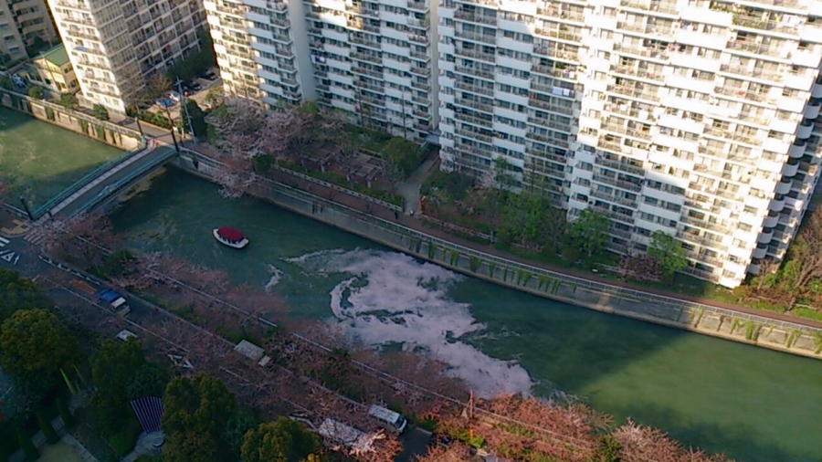 �t�H�g�N���u �u�ԎʉԎʁv