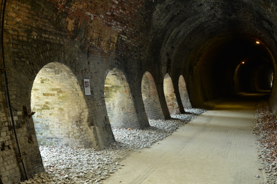 �t�H�g�N���u �u�ԎʉԎʁv