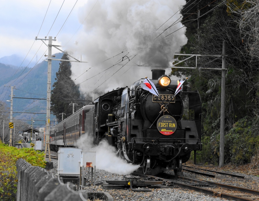 ����SL�@�t�@�[�X�g�����i�t�H�g�N���u �u�ԎʉԎʁv�j