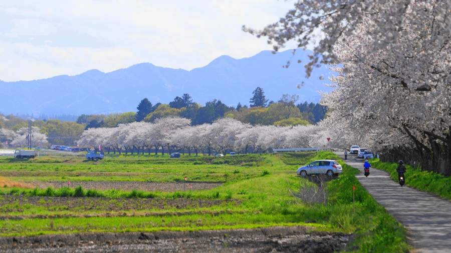 �s�������i�t�H�g�N���u �u�ԎʉԎʁv�j