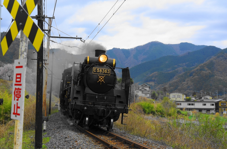 ����SL�tࣖ��i�t�H�g�N���u �u�ԎʉԎʁv�j