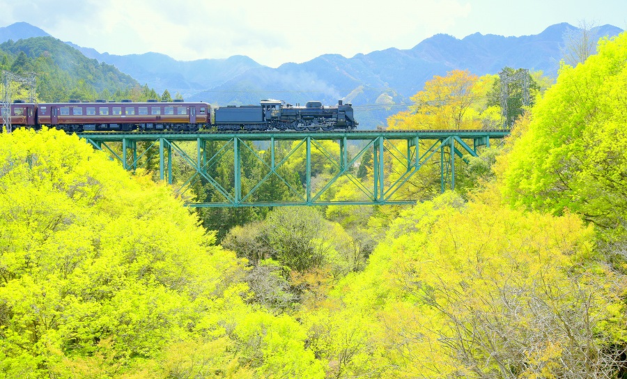 ����SL�V�΂�n��i�t�H�g�N���u �u�ԎʉԎʁv�j